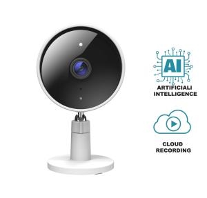 Εικόνα της D-LINK DCS-8302LH FHD WI-FI CAMERA OUTDOOR 135 FOV